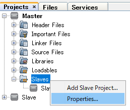 Slavesプロジェクトフォルダのプロパティー